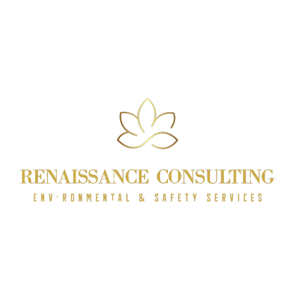 Renaissance Consulting